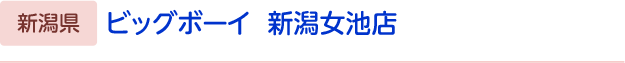 ビッグボーイ　新潟女池店
